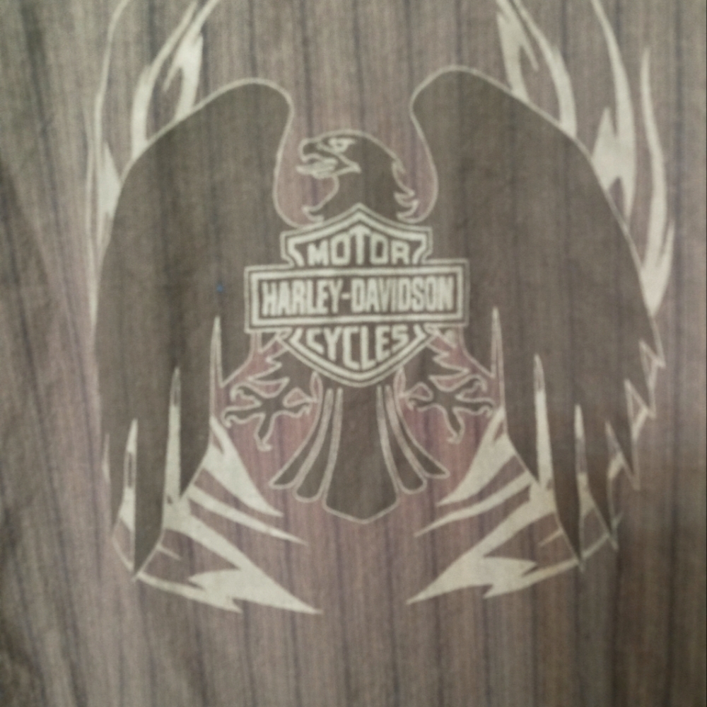 Harley Davidson button down shirt- medium